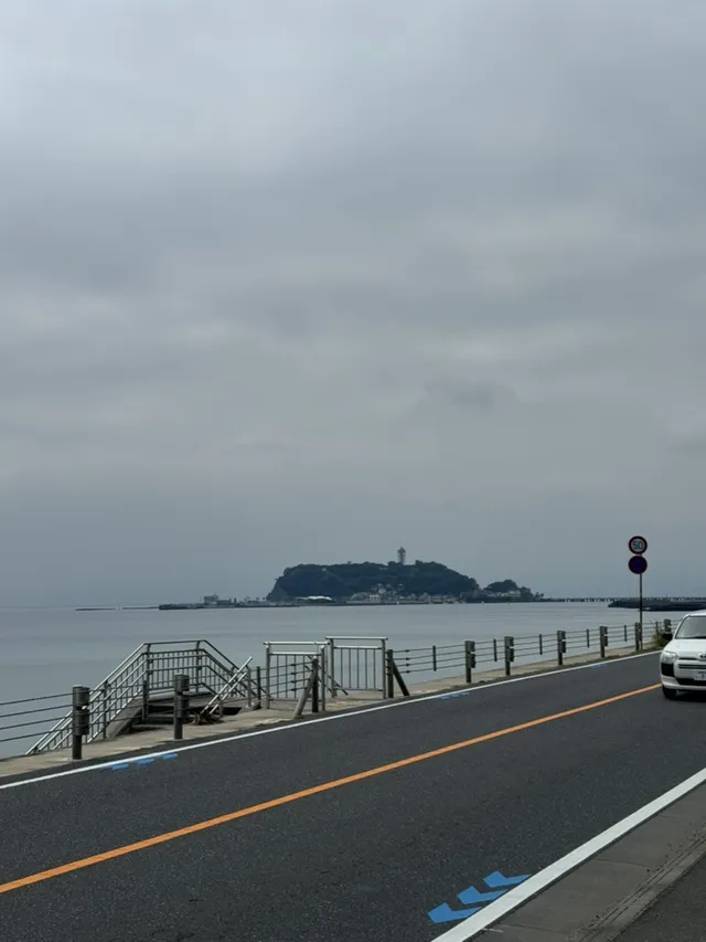 A small wooded island seen across the water from an empty coastal road under grey skies